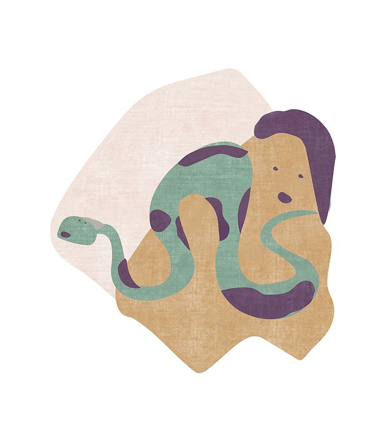 Друзья Маугли IIКовер RUG'SOCIETY Kids 289_924