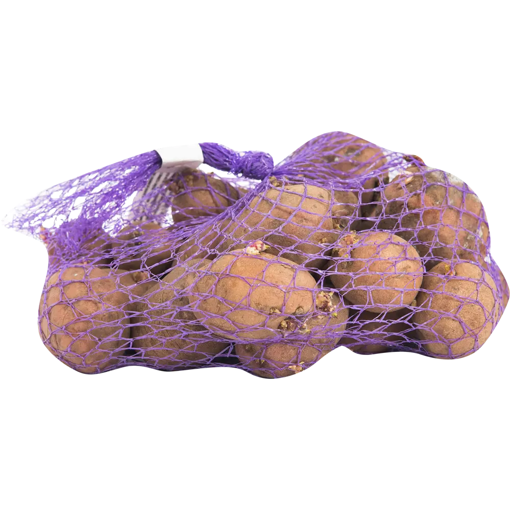 Картофель семенной «Манифест Суперэлита», 2 кг Santreyd STLM-2035027