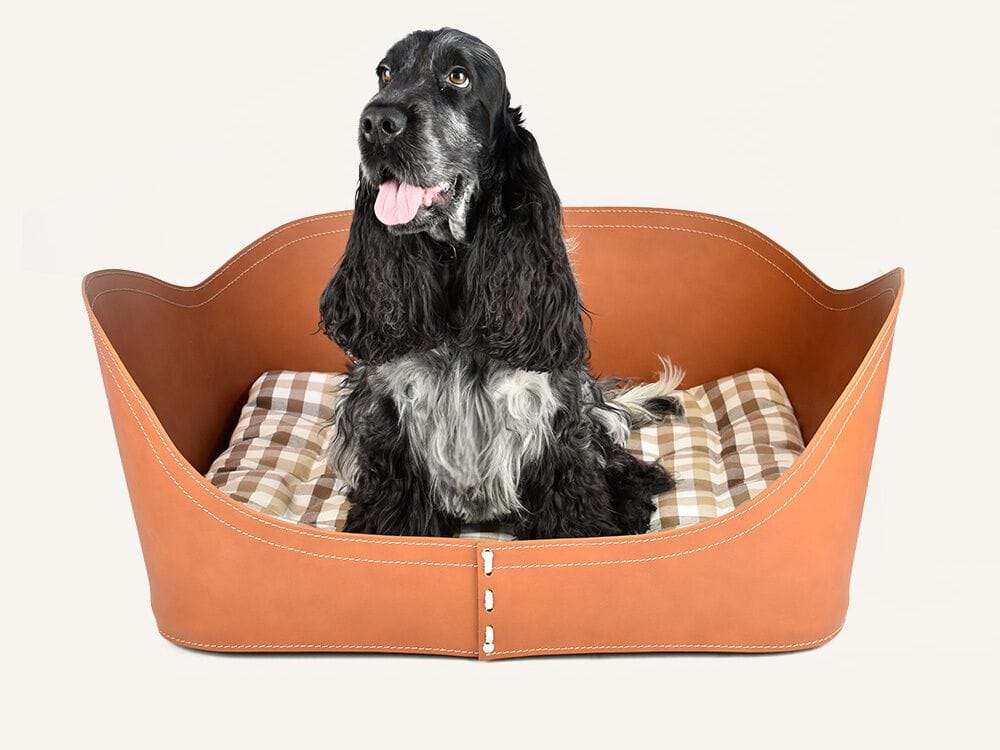 Собачья будка из регенерированной кожи LIMAC design FIRESTYLE NUVOLA ARCH-00091592 - Вид №9