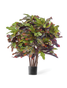 10.37703N Кротон Шар Цветочная коллекция