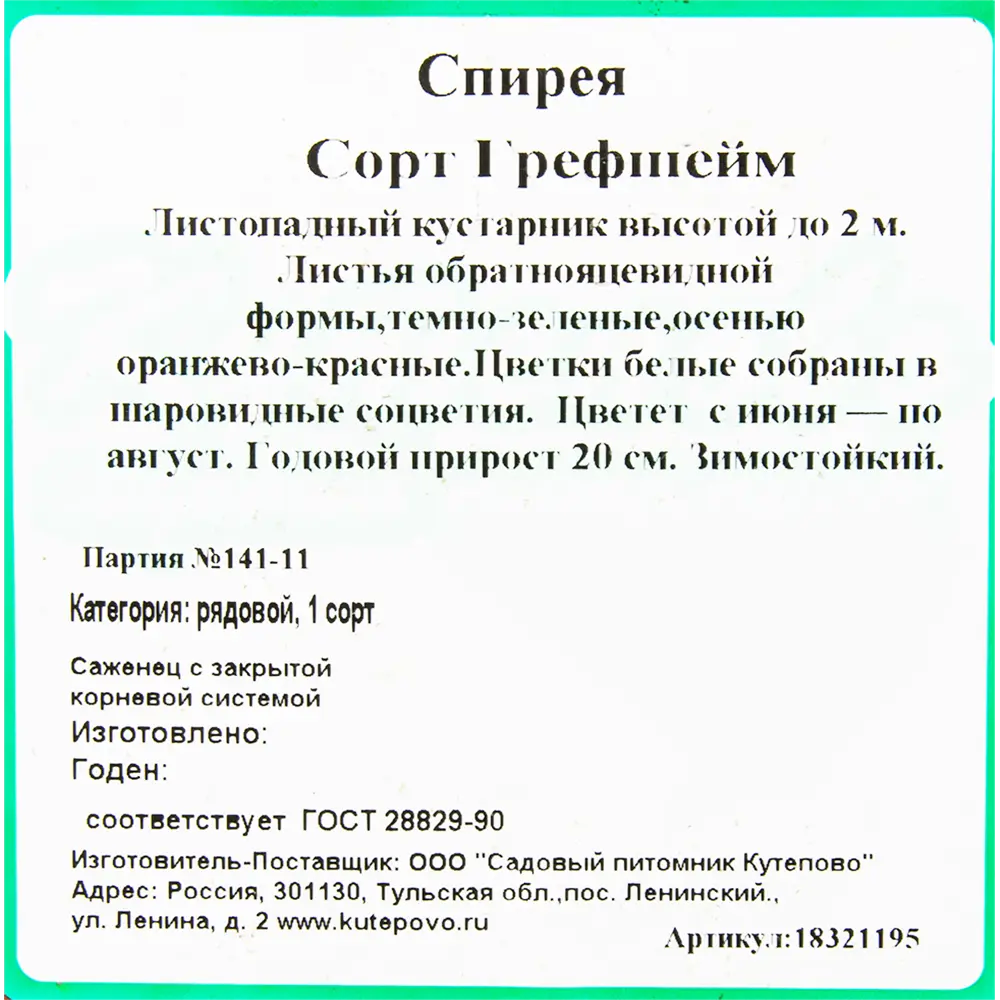 Спирея «Грефшайм С2», 30-60 см 18321195 STLM-2061880 Santreyd  - Вид №1