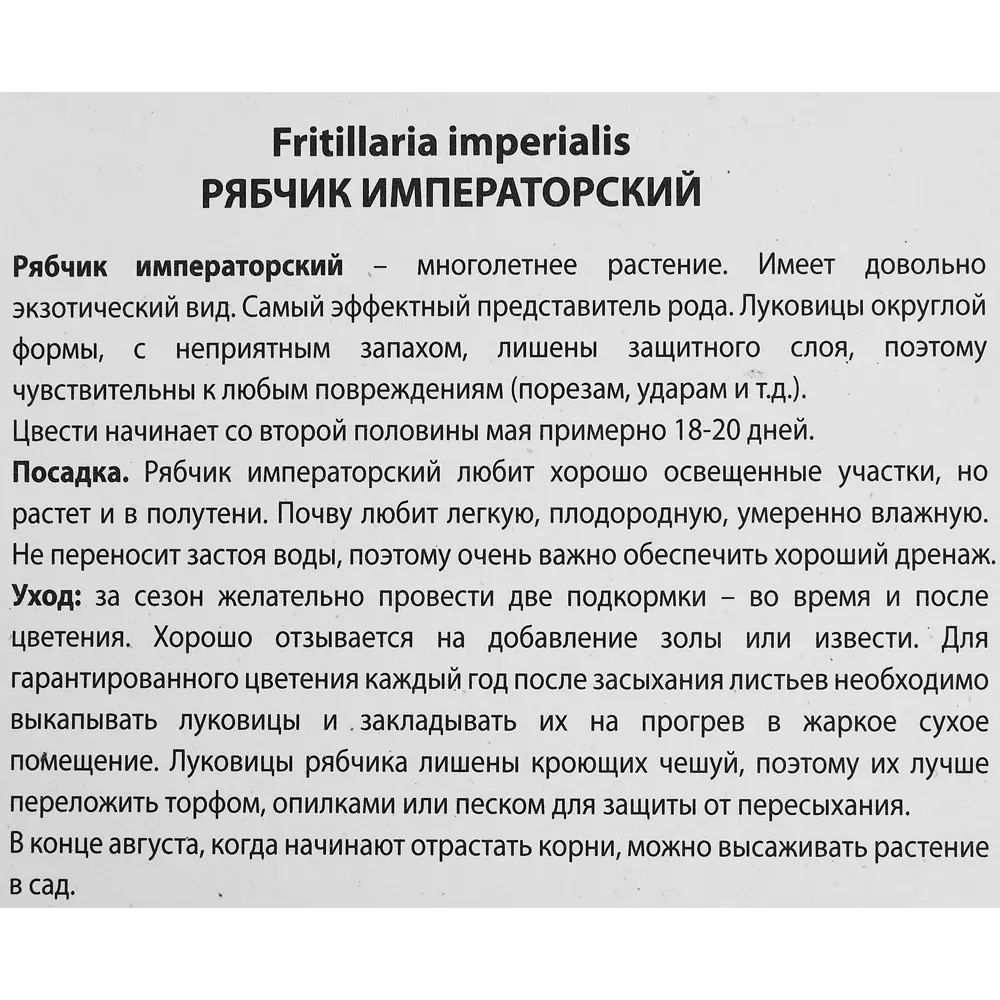 Рябчик императорский Рубра луковица 20/24 88294936 STLM-2193000 Santreyd  - Вид №2