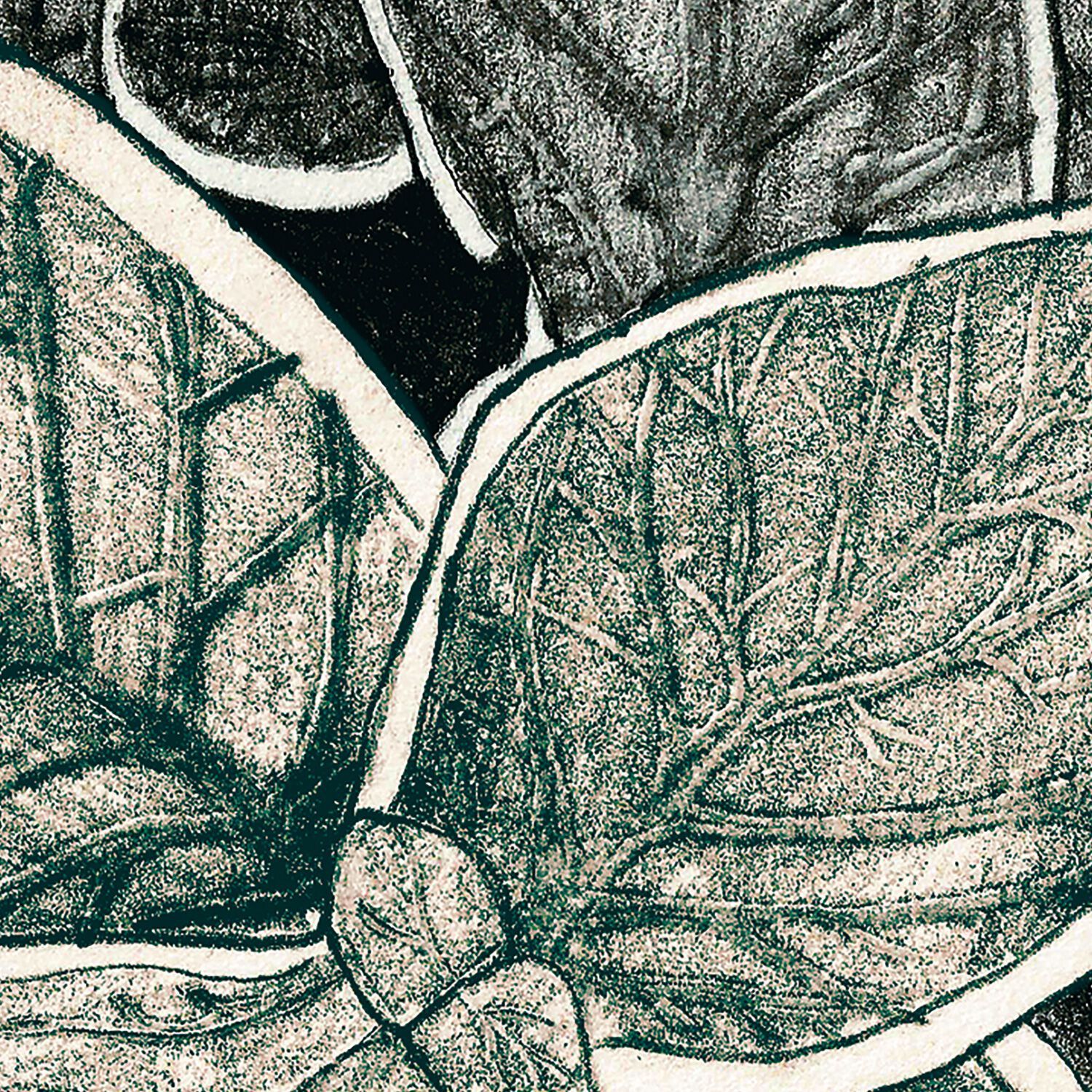 Обои с рисунком Ressource Faune &amp ARCH-00031135 - Вид №8