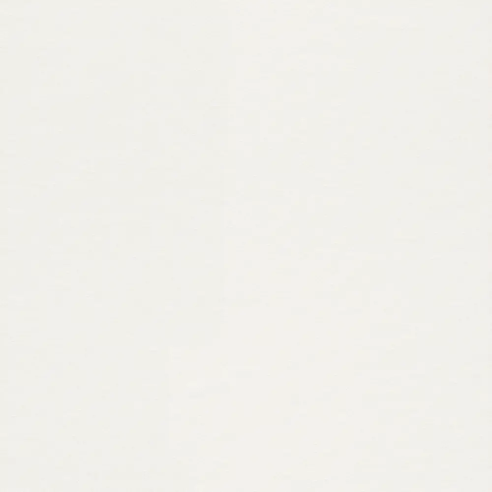 Холст флизелиновый Ra 165814 1.06х25 м Rasch STLM-2172993