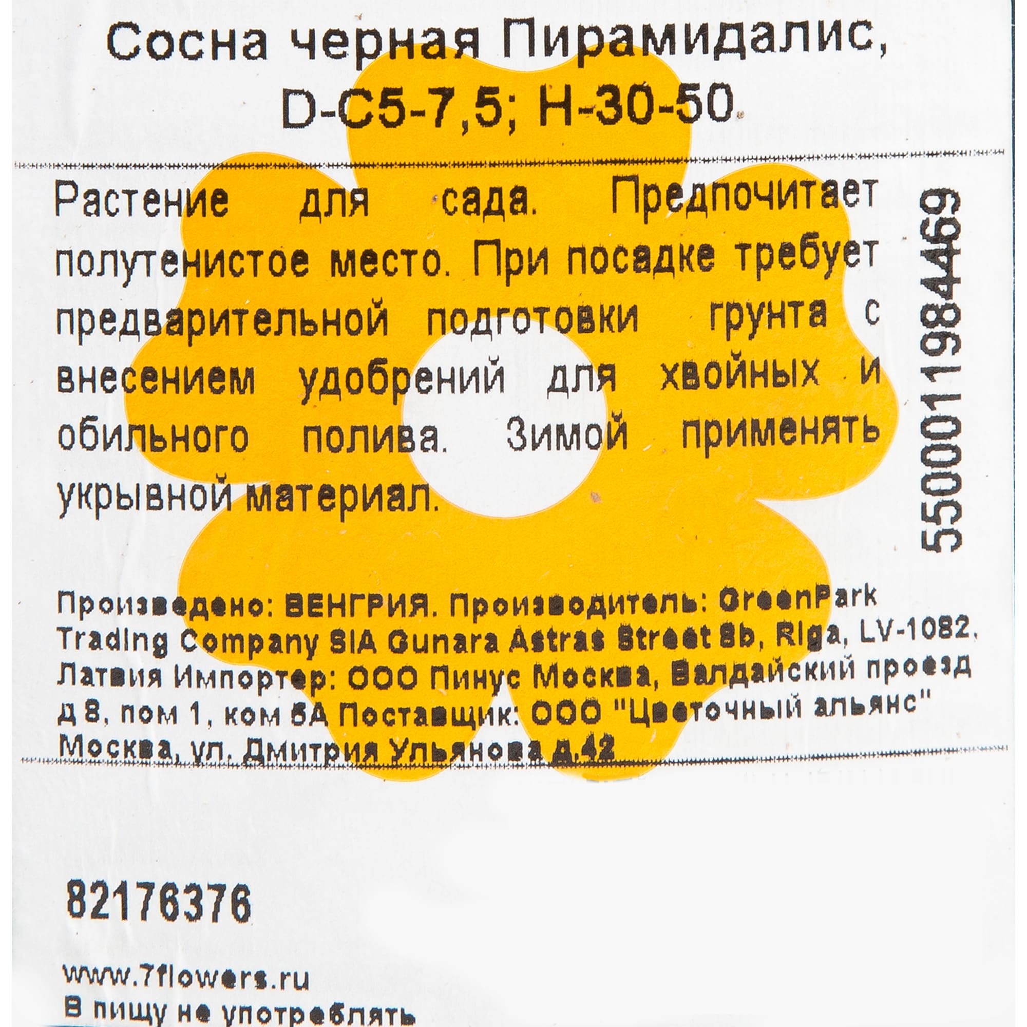 82176376 Сосна чёрная «Пирамидалис» 5-7.5 л 30-50 см Santreyd  - Вид №1