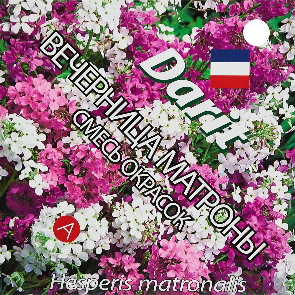 Семена цветов Дарит вечерница микс 89347589 STLM-2102092 Santreyd 
