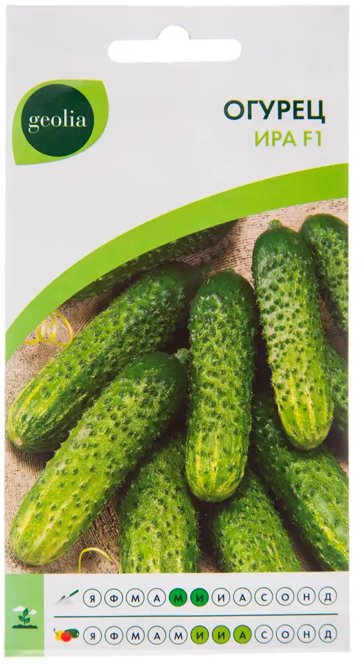 Семена огурца Geolia Ира F1 - ранний урожайный сорт для теплиц и открытого грунта 17584815