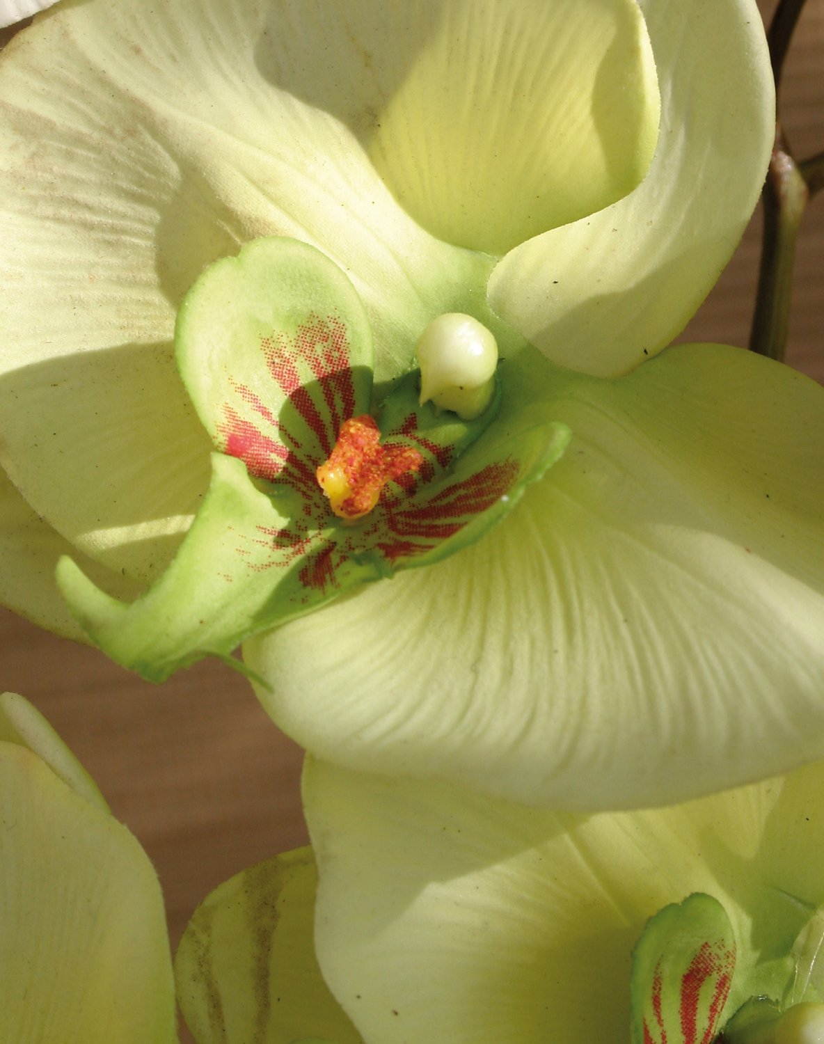 2581 788 a3 Искусственная орхидея Phalaenopsis, 103 см, real touch, бежево-зеленая H-andreas  - Вид №3