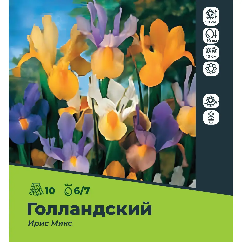Ирис голландский микс луковицы 6/7, 10 шт. 89049673 STLM-2198102 Santreyd 