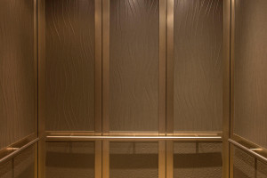 FSRT851 Интерьер лифта Levelc-2000n с верхними вставками из никелевого серебра с натуральной патиной и узором цвета шампанского; нижние вставки из нейзильбера с натуральной патиной и нестандартным рисунком; стойки и поручни из белого золота, отделка песча Forms-surfaces 