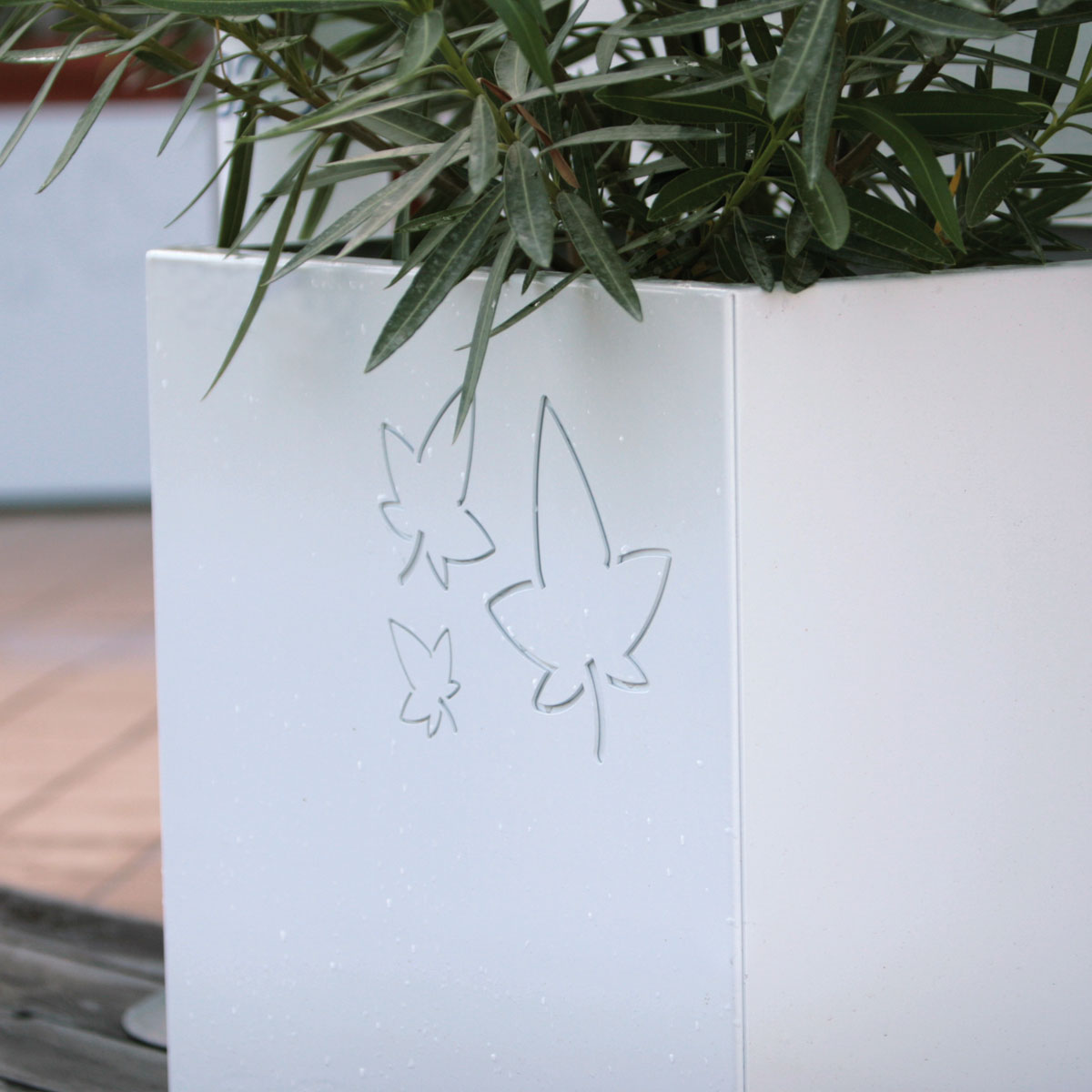 Leaves Details Lab23 Плантаторы  - Вид №5