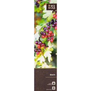Йошта в тубе 82539549 STLM-2180624