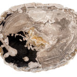 FUBR038 Приставной столик из окаменелого дерева ijlbrown  - Вид №3