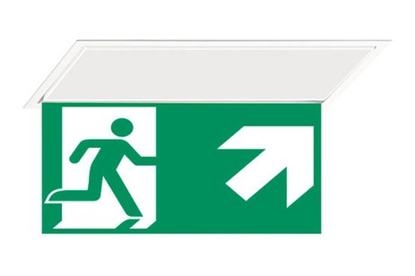 DST-227 Hydra pennant Daisalux Светильники аварийные Белый 