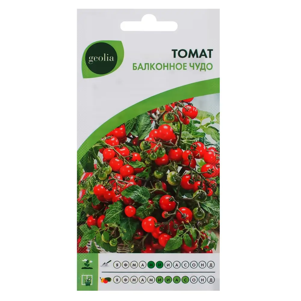 Томат Балконное чудо GEOLIA - миниатюрный сорт для домашнего огорода 17585316 STLM-1445464