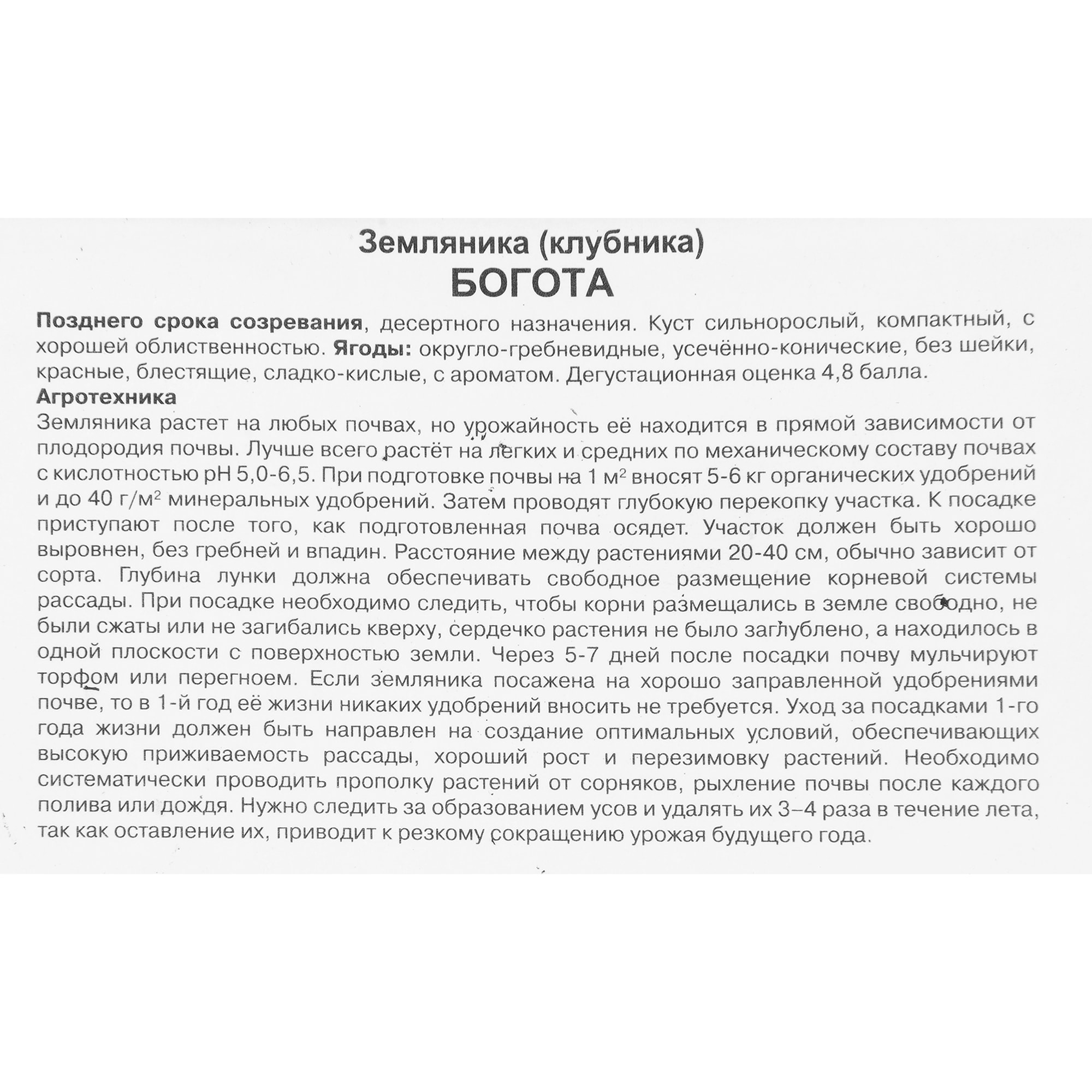 82528934 Земляника традиционная поздняя 3 шт Santreyd  - Вид №1