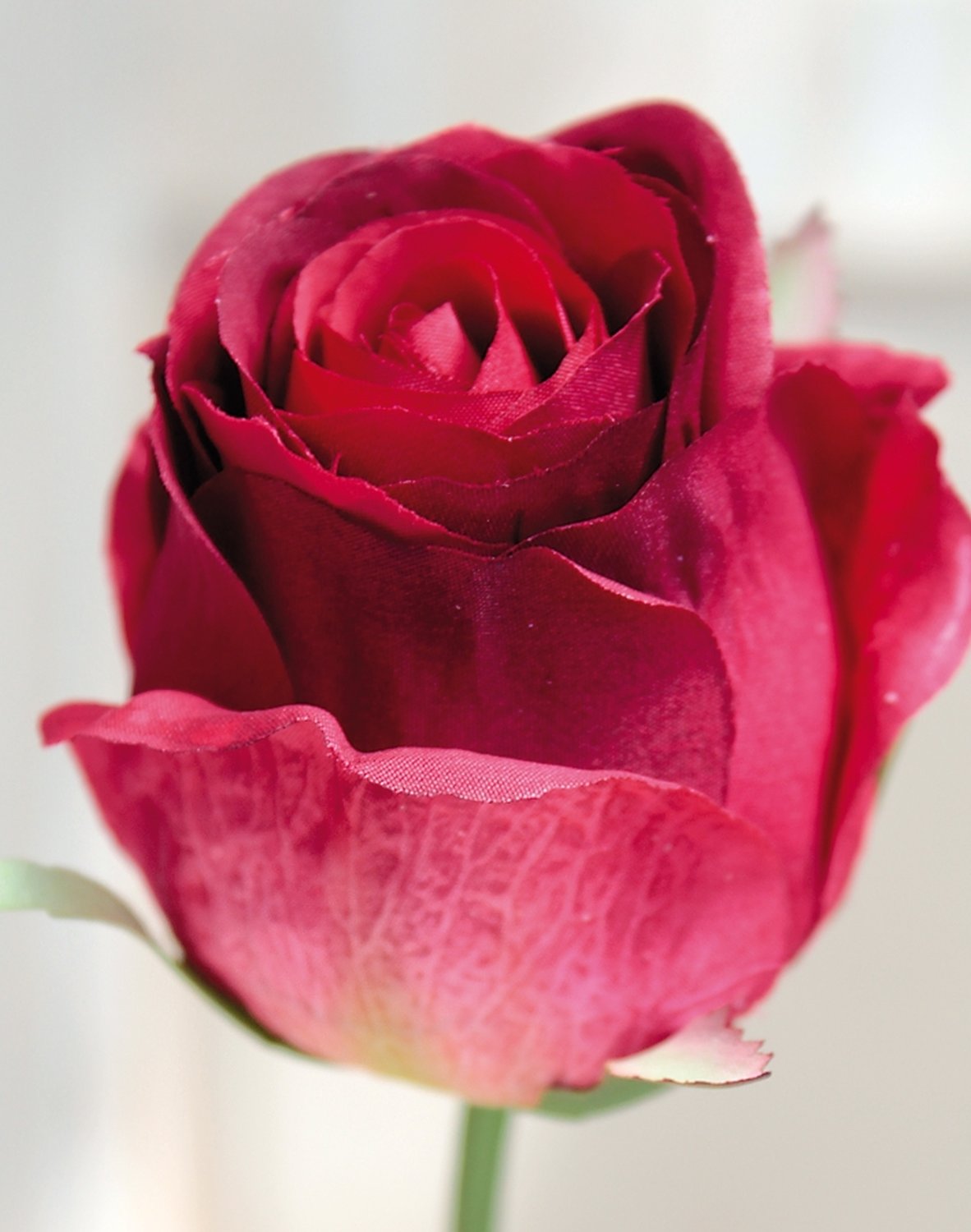 3350 408 a2 Искусственная роза, 58 см, красно-зеленая H-andreas  - Вид №3