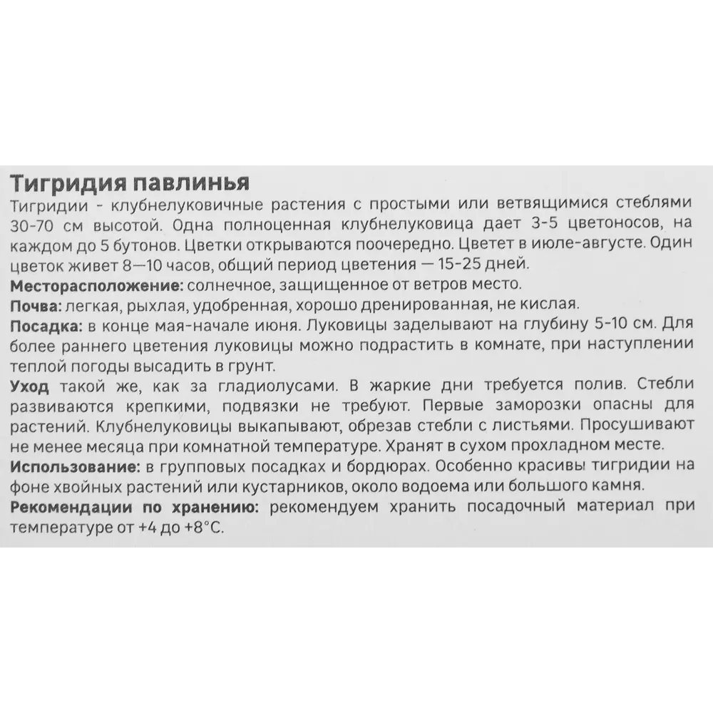 Тигридия Павлинья смесь окрасок 5 шт 86408667 STLM-2022916 Santreyd  - Вид №2