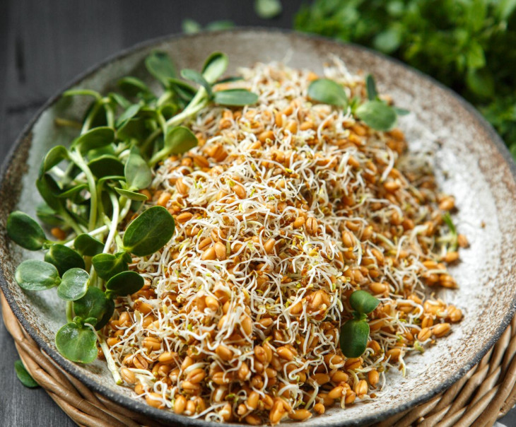 9717 Проростки Пшеницы с проростками Клевера Вкусляндия 