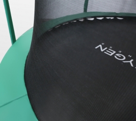 10FT Батут премиум 10ft с внутренней страховочной сеткой и лестницей (dark green) ARLAND  - Вид №1