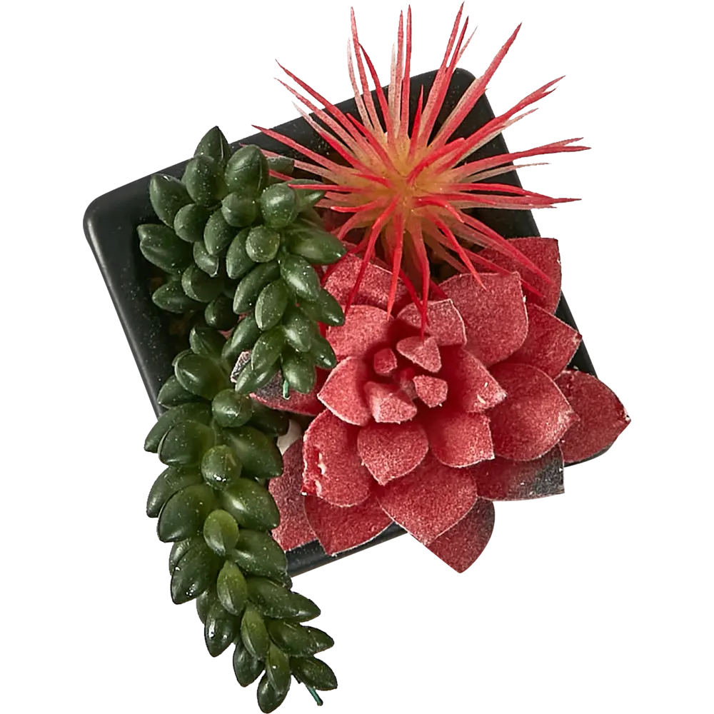 88999729 Искусственное растение Суккулент пластик 13 см STLM-0829943 Santreyd  - Вид №1