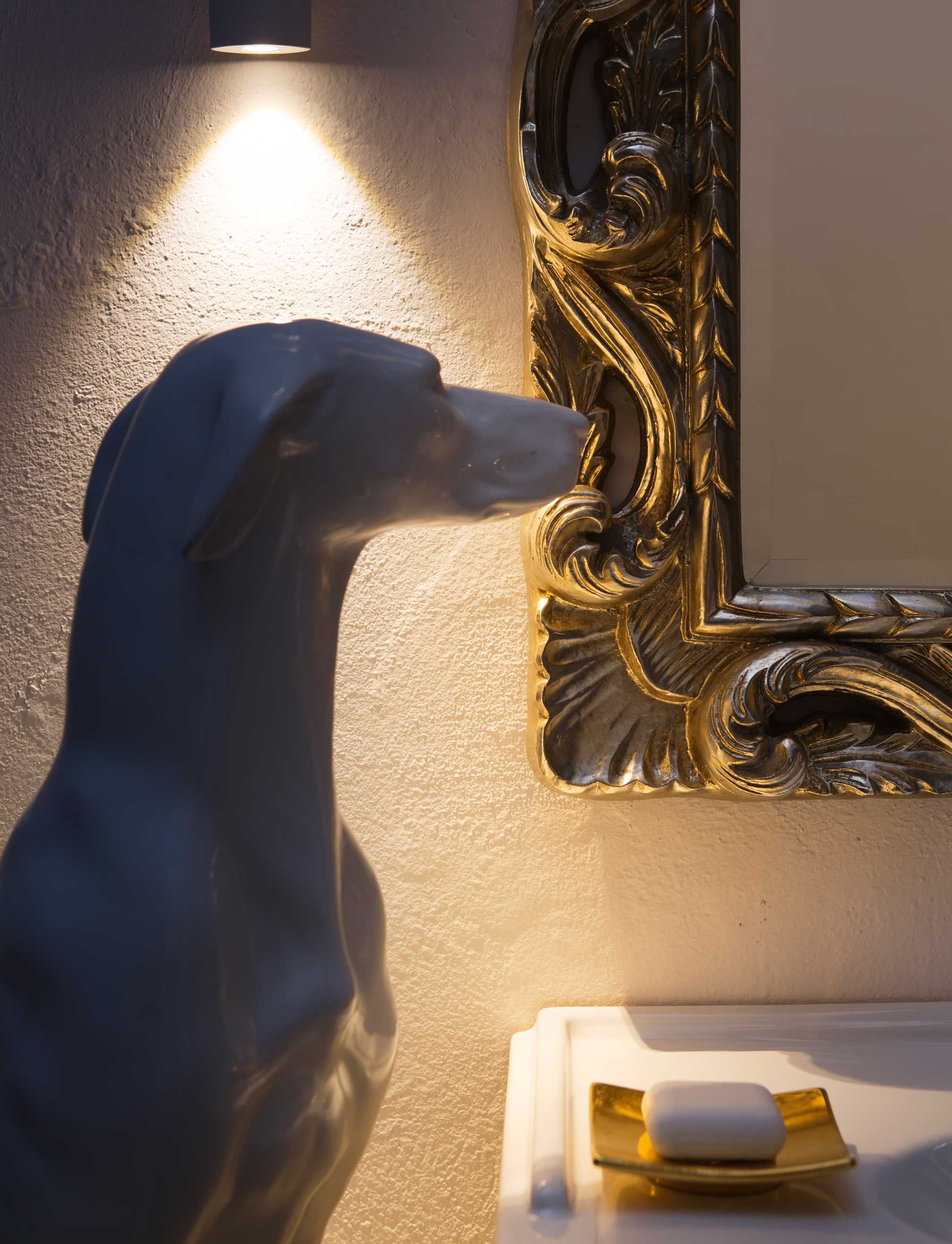 AC21 Compabit Acanthis 2017  - Вид №2