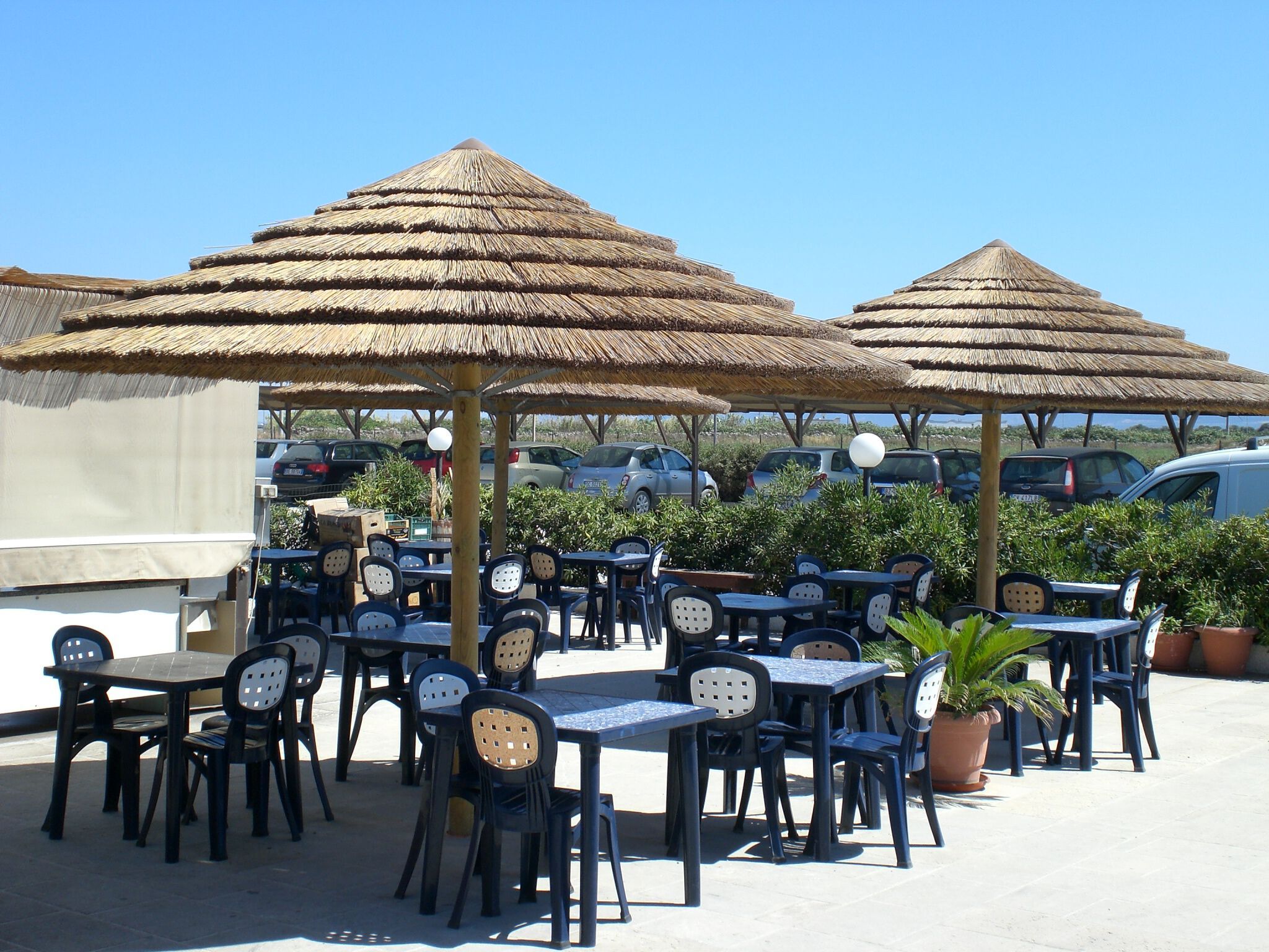 Круглый зонтик из африканского тростника Gio' Stemar CANNA AFRICANA ARCH-00056622