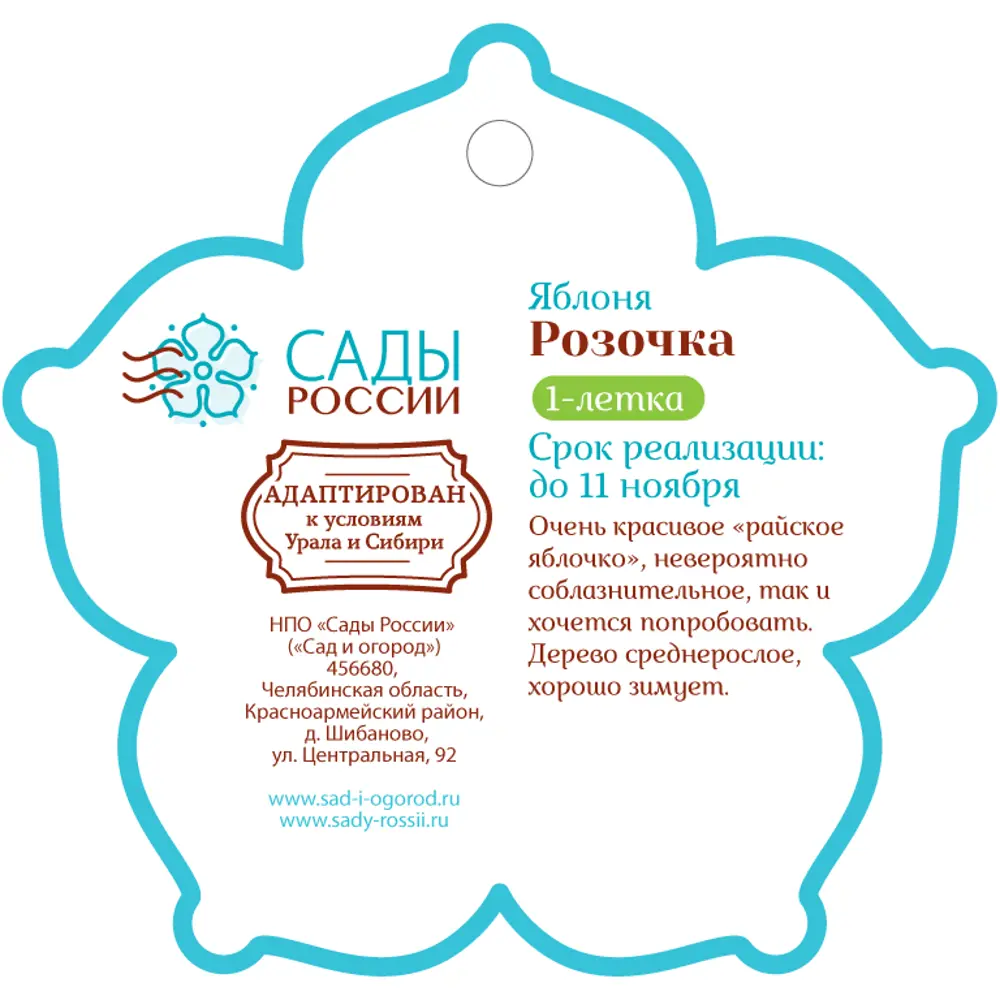 Яблоня «Розочка» 1 год 12.5x30-50 см 82610484 STLM-2004098 Santreyd  - Вид №1