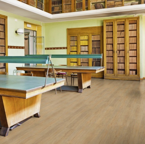 Пробка Wicanders Authentica Elegant Light (Гладкая) 1220х185 мм E1XG001 - Вид №38