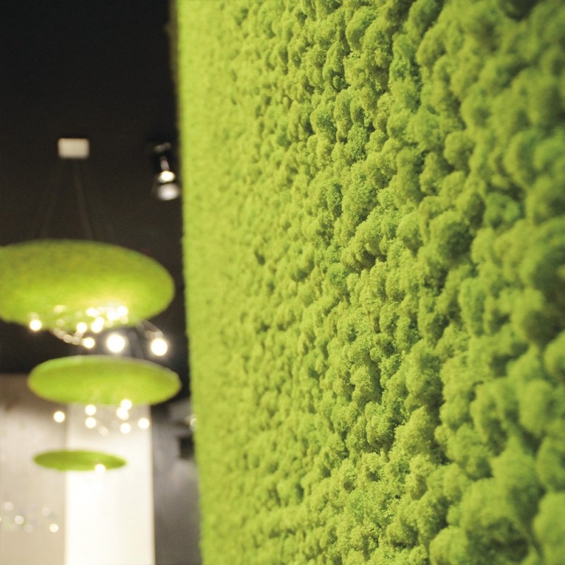 VER001 Лишайник Adriani e Rossi 01 Мох светло-зеленый  - Вид №18