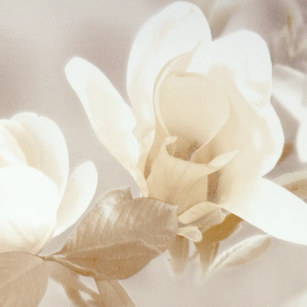 Обои флизелиновые Аурелия бежевые 1.06 м 4933 ГТФ1Э Santreyd STLM-2151895 - Вид №1