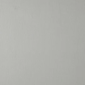 Рулон обоев NEWTON NTN26660126. Основа аппликация