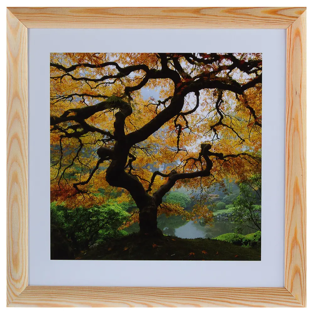 Постер в раме 40х40 см «Осенний Клен» Santreyd STLM-2089825