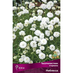 Тысячелистник птармика Ноблесса