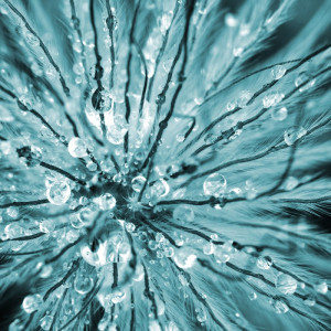 2065/CX38 Картина 2065 Adriani e Rossi