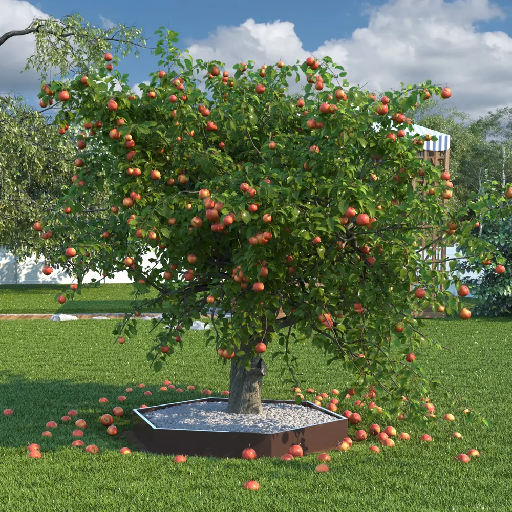 Клумба шестиугольная 1 м Santreyd STLM-2105766 - Вид №5