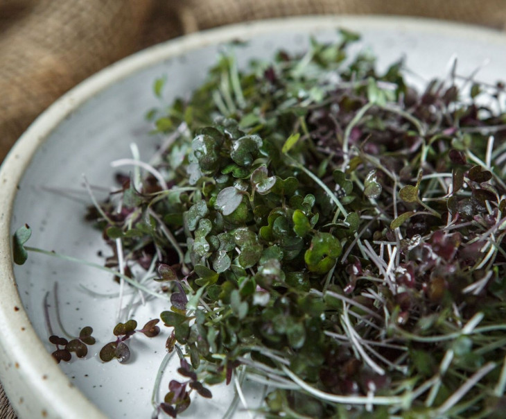 4678 Микрозелень Мизуны красной Вкусляндия  - Вид №2