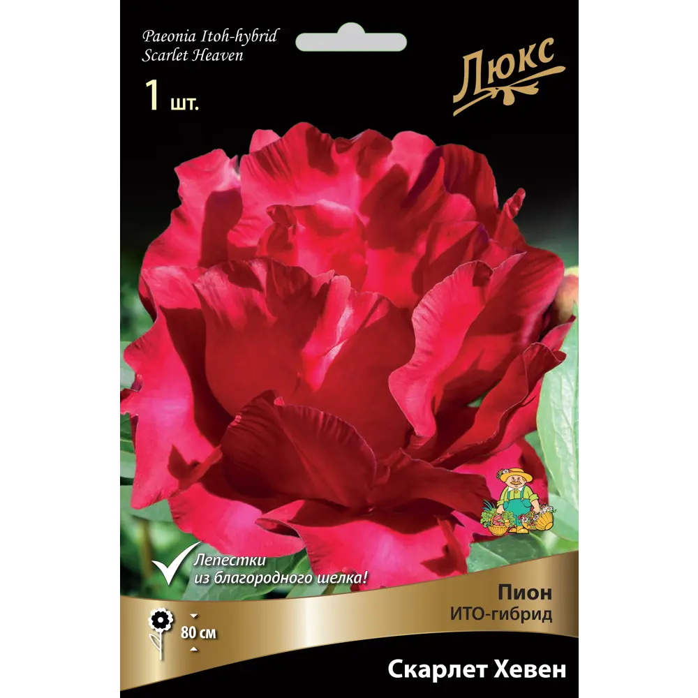 Пион ито-гибрид «Скарлет Хевен» разбор 2-3 82661882 STLM-2140796 Santreyd 