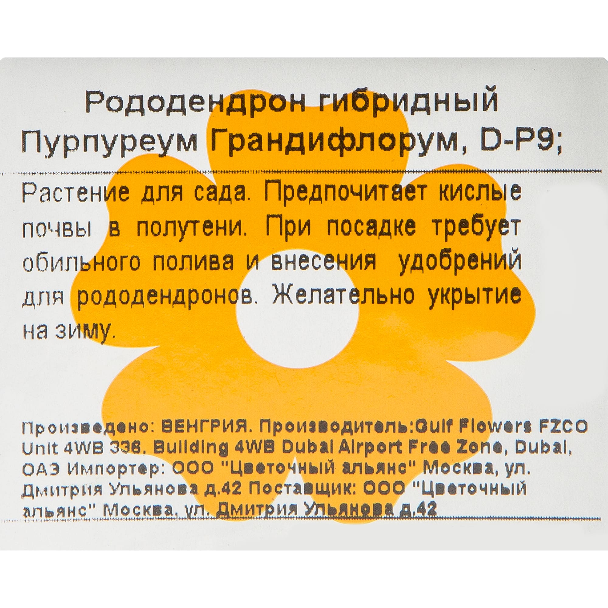 82601863 Рододендрон Пурпуреум «Грандифлорум» 9x20 см Santreyd 