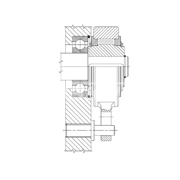 IS776 Обгонная муфта AV20 (GV20) ISKRA  - Вид №4