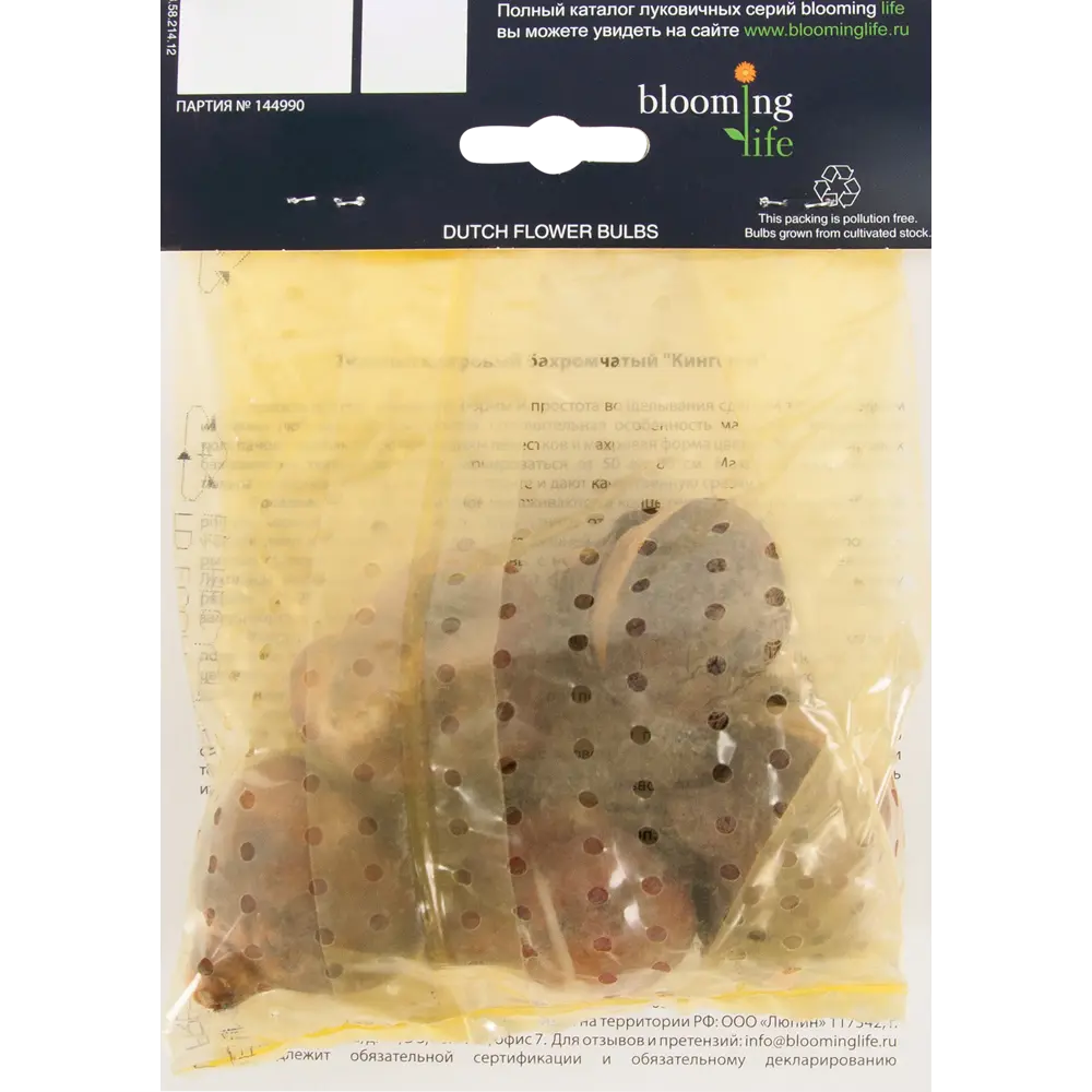 Тюльпан Кингстон 12/plus, 5 шт. 13275345 STLM-2030197 Santreyd  - Вид №1