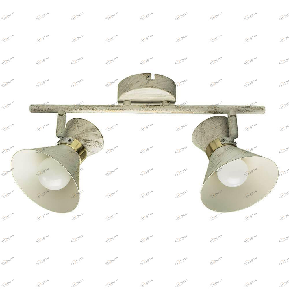 Спот потолочный на 2 лампы белый Baltimore A1406AP-2WG ARTE LAMP BALTIMORE WHITE 00-3926270 Белый 