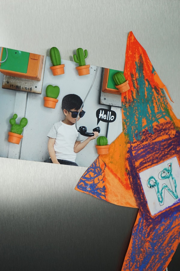 Магниты Cactus, 6 шт Qualy QL10288ORGN - Вид №3