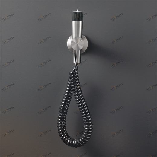 струя воды для чистки туалетов с предохранительным клапаном, настенный кронштейн и подключение воды  FRE45 CEADESIGN 