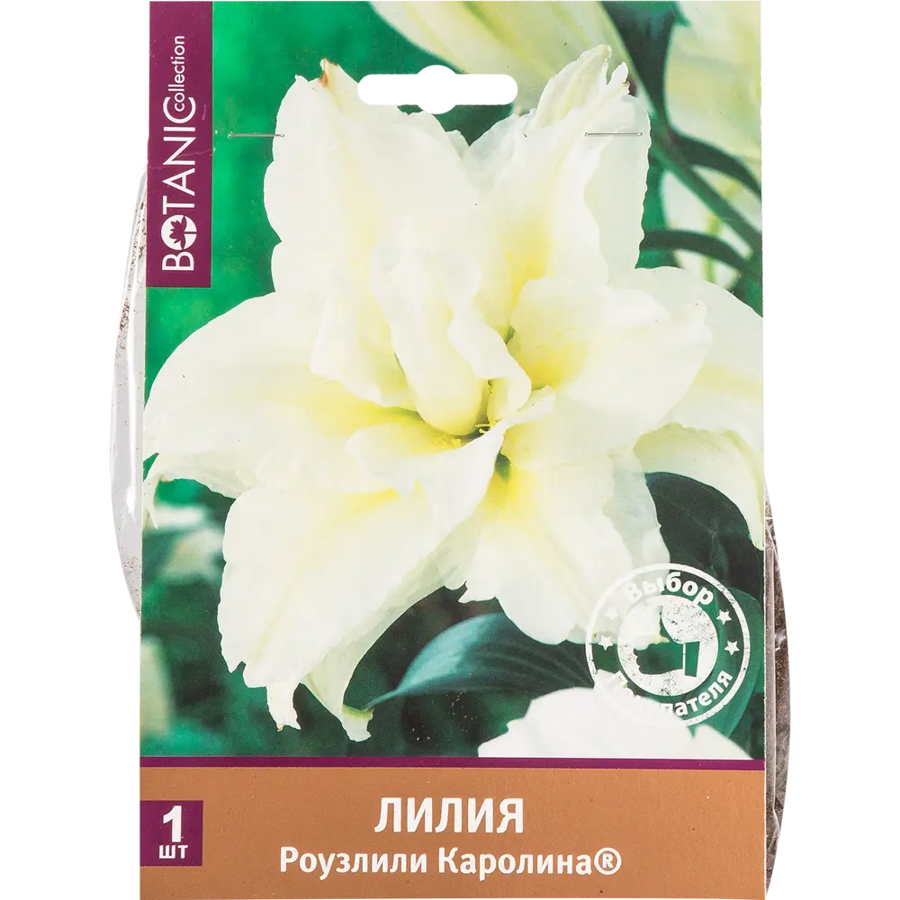 Лилия восточная махровая «Роузлили Каролина» 82539373 STLM-2200952 Santreyd 