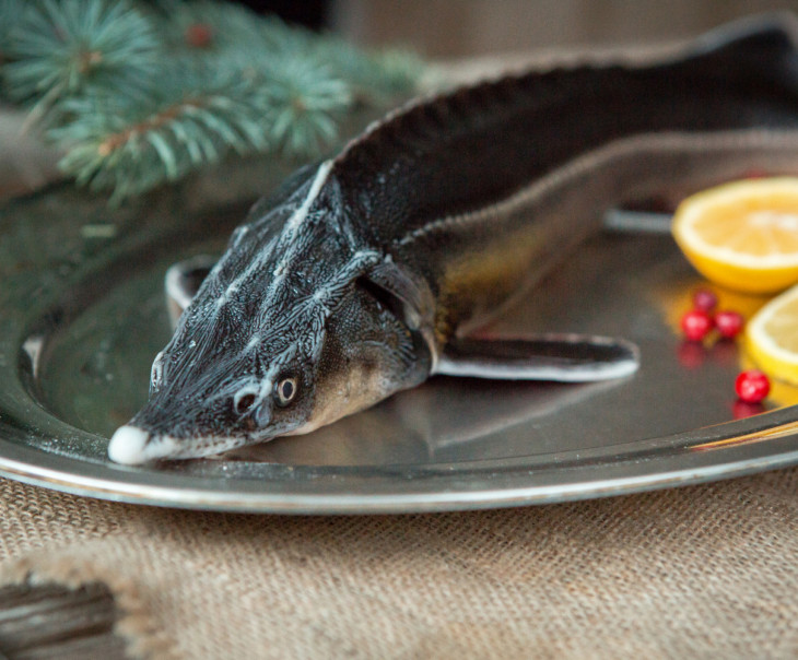 9485 Осетр охлаждённый Вкусляндия  - Вид №2