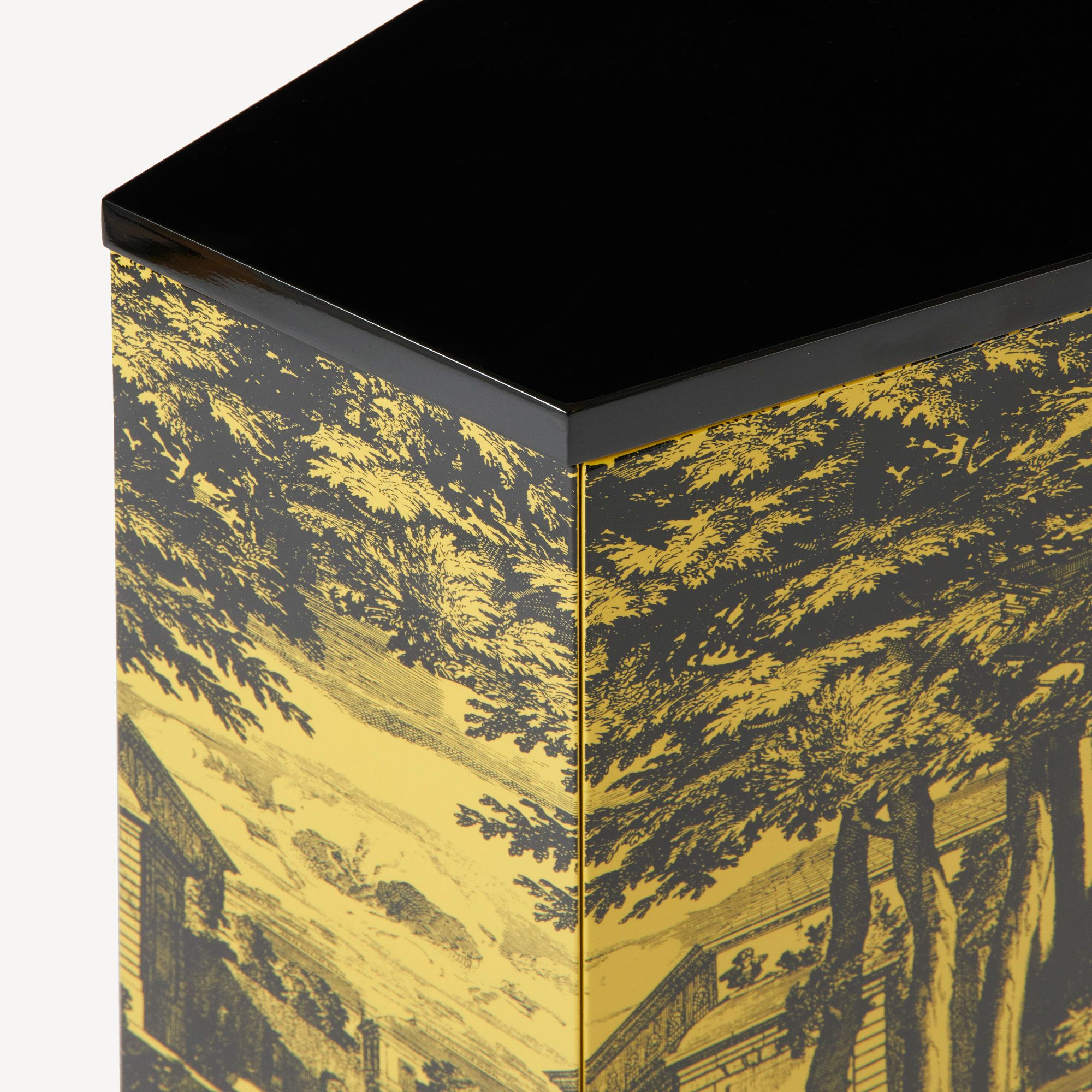 Маленький шкаф Fornasetti Giardino Settecentesco ARCH-00041368 - Вид №3