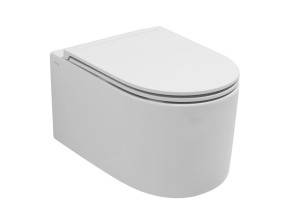 Туалет висит в витрине без бриды