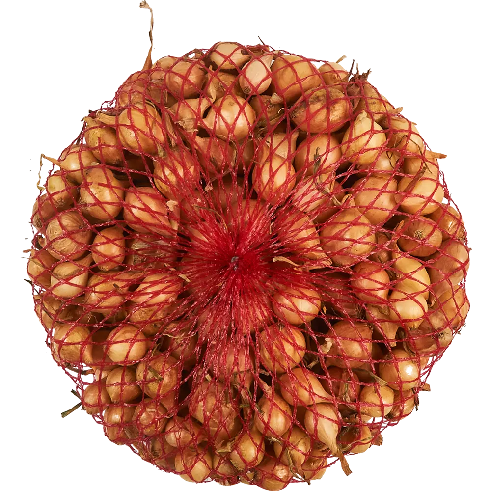 Лук-севок Штуттгартер ризен 0.5 кг Santreyd STLM-2023892 - Вид №1