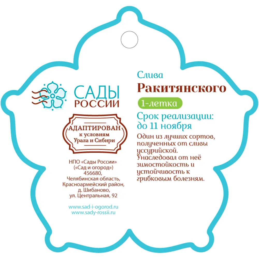 Слива «Ракитянского» 1 год 12.5x30-50 см 82610453 STLM-2051483 Santreyd  - Вид №1
